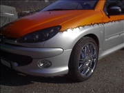 Peugeot 106  (21)